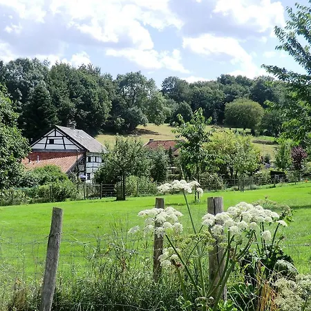 De Korenwolf Otel 3*