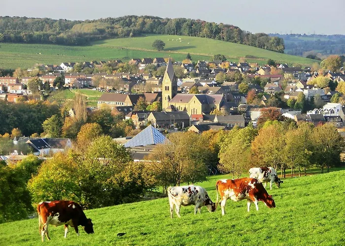 Hotel De Korenwolf 3*