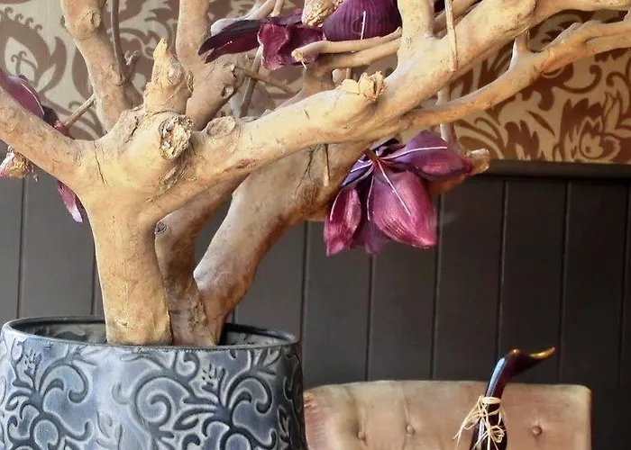 De Korenwolf 3* غولبين